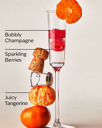 Champagne Toast - Bath & Body Works Refill