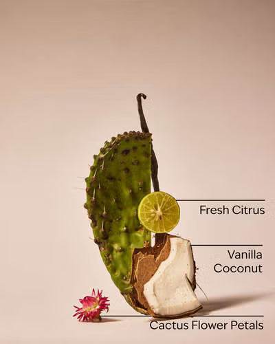 Cactus Blossom - Bath & Body Works Refill
