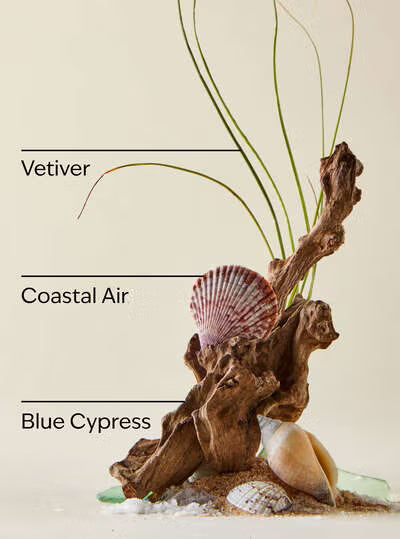 Ocean - Bath & Body Works Refill