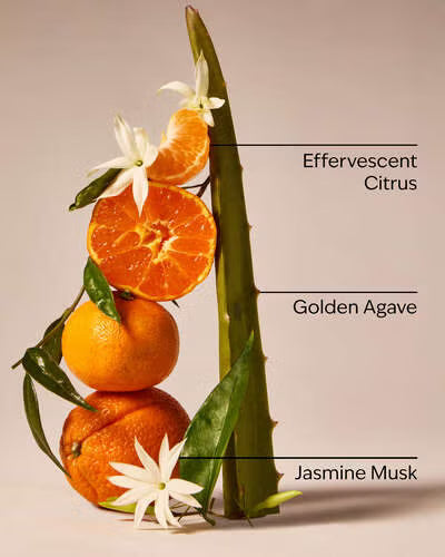 Sweet Orange & Agave - Bath & Body Works Refill