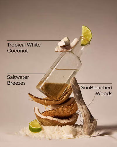Waikiki Beach Coconut - Bath & Body Works Refill