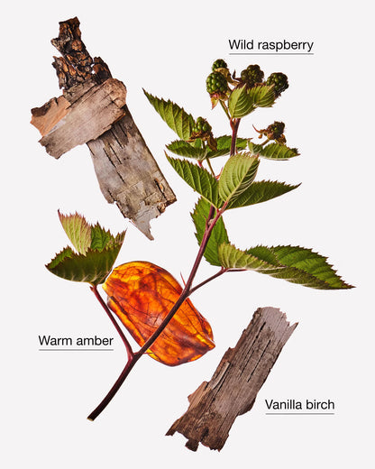 Autumn Drive - Bath & Body Works Refill