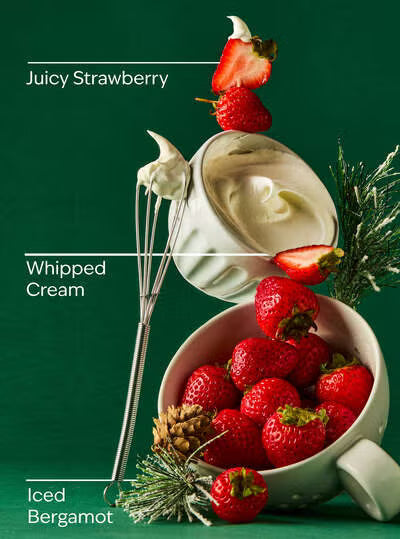 Strawberry Snowflakes - Bath & Body Works Hanging Diffuser